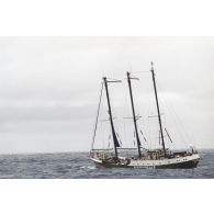 Le navire Rainbow Warrior 2 de l'association Greenpeace en mer en mission de prélèvement en dehors de la zone des 12 miles nautiques de Moruroa.