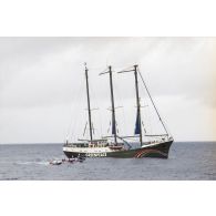 Mise à l'eau du cinquième des cinq zodiacs du navire Rainbow Warrior 2 de l'association écologiste Greenpeace pour une opération médiatique en mer.