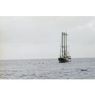 Cinq zodiacs du navire Rainbow Warrior 2 de l'association écologiste Greenpeace ont été mis à l'eau pour une opération médiatique en mer.