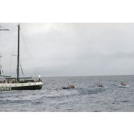 Cinq zodiacs du navire Rainbow Warrior 2 de l'association écologiste Greenpeace ont été mis à l'eau pour une opération médiatique en mer.