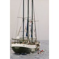 Mise à l'eau de cinq zodiacs de l'association écologiste Greenpeace depuis le navire Rainbow Warrior 2 pour une opération médiatique en mer.