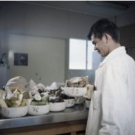 Portrait d'un laborantin participant au contrôle de la contamination d'éléments nutritifs au centre de contrôle biologique du centre technique (CT) de Mahina (Tahiti). Echantillons d'aliments prélevés.