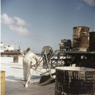 Activité de peinture sur un quai du port. En arrière-plan, un bâtiment-base (BB) et le bâtiment de soutien logistique (BSS) Tarn (A771) à quai, probablement sur la base avancée du Centre d'expérimentations du Pacifique (CEP) sur l'atoll d'Hao ou à Moruroa.