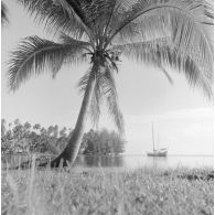 Paysage littoral de Polynésie française, probablement à Tahiti. Un voilier au mouillage.