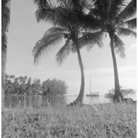 Paysage littoral de Polynésie française, probablement à Tahiti. Un voilier au mouillage.