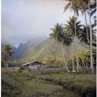 Paysage et habitation, probablement à Tahiti.