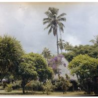 Iaorana villa. Bungalows de Baldwin Bambridge à Punaauia.