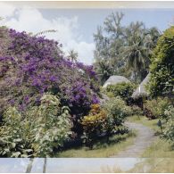 Iaorana villa. Bungalows de Baldwin Bambridge à Punaauia.