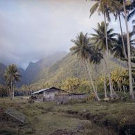 Paysage et habitation, probablement à Tahiti.