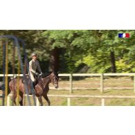 Préparation de la coupe du monde militaire d'équitation.