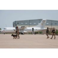 Des fusiliers commandos de l'Air accompagnés d'une unité cynotechnique patrouillent autour de la zone aéroportuaire du camp Adji Kosseï à N'djamena, au Tchad.