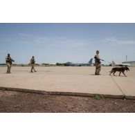 Des fusiliers commandos de l'Air accompagnés d'une unité cynotechnique patrouillent autour de la zone aéroportuaire du camp Adji Kosseï à N'djamena, au Tchad.