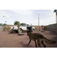 Un fusilier commando de l'Air fouille un véhicule avec son chien au poste de sécurité principal du camp Adji Kosseï à N'Djamena, au Tchad.