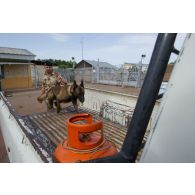 Un fusilier commando de l'Air fouille un véhicule avec son chien au poste de sécurité principal du camp Adji Kosseï à N'Djamena, au Tchad.