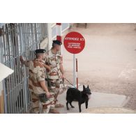 Des fusiliers commandos de l'Air sécurisent le périmètre avec leur chien au poste de sécurité principal du camp Adji Kosseï à N'Djamena, au Tchad.