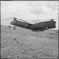 Opération dans le djebel.