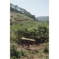 Camp de réfugiés de Nyacyonga sur la route de Byumba à 10 km de Kigali. Transport de fagots par les réfugiés.