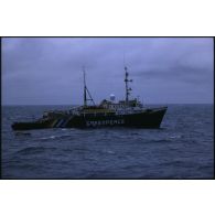 Le bâtiment amiral MV Greenpeace de l'ONG Greenpeace en pleine mer dans le Pacifique.