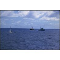 Voilier Greenpeace III de la flottille de la Paix de Greenpeace, remorqueur Hippopotame (A660) et bâtiment amiral MV Greenpeace de l'ONG Greenpeace en pleine mer dans le Pacifique.