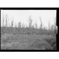 Belloy-en-Santerre, cimetière C. [légende d'origine]