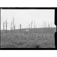 Belloy-en-Santerre, cimetière C. [légende d'origine]