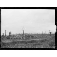 Belloy-en-Santerre, cimetière A. [légende d'origine]