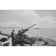 Un canon antiaérien Bofors de 40 mn capturé et positionné non loin du phare de la Coubre.