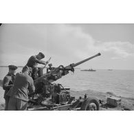 Un canon antiaérien Bofors de 40 mn capturé et positionné non loin du phare de la Coubre.