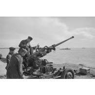 Un canon antiaérien Bofors de 40 mn capturé et positionné non loin du phare de la Coubre.