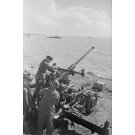 Un canon antiaérien Bofors de 40 mn capturé et positionné non loin du phare de la Coubre.