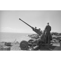 Un canon antiaérien Bofors de 40 mn capturé et positionné non loin du phare de la Coubre.