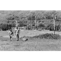 Champ d'antennes à la station de Mahina.