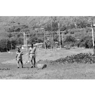 Champ d'antennes à la station de Mahina.
