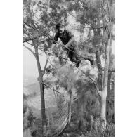 Le régiment d’infanterie de marine du Pacifique - Polynésie (RIMAP-P). Entraînement au centre d'instruction de montagne (CIM) de Papeete. Franchissement d'un pont de câbles.