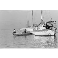 Patrouille de gendarmes maritimes en zodiac à Papeete. Contrôle des embarcations de plaisance. Voilier Emmirius (San Francisco).