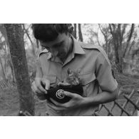 Un chaton, mascotte d'un militaire du train, peut-être au camp d'Arue.