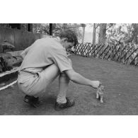 Un chaton, mascotte d'un militaire du train, peut-être au camp d'Arue.