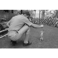 Un chaton, mascotte d'un militaire du train, peut-être au camp d'Arue.