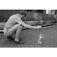 Un chaton, mascotte d'un militaire du train, peut-être au camp d'Arue.