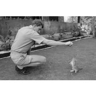 Un chaton, mascotte d'un militaire du train, peut-être au camp d'Arue.