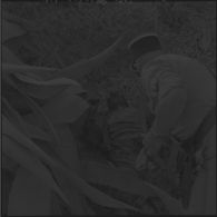 Sabotage manqué sur la ligne Oran-Alger. Cadavre sur le bas-côté de la voie  ferrée.