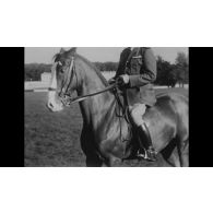 Fonds cinématographique du colonel André Jousseaume. Boîte titrée "Harpagon (en noir), film américain".