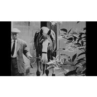 Fonds cinématographique du colonel André Jousseaume (1894-1960). Boîte titrée "Harpagon (en noir). Première et deuxième partie".