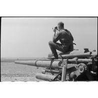 Une pièce de 8, 8 cm Flak en position.