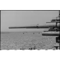 Une pièce de 8, 8 cm Flak en position.