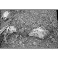 Cadavre d'un soldat allemand dans le secteur de Balgau.