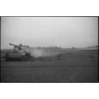 Epave d'un chasseur de chars Sd.Kfz. 164 (ou Nashorn) dans le secteur de Balgau.