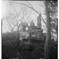 Debout sur un char, le commandant Gribius, chef du 3e bureau de l'état-major de la 2e division blindée (2e DB), dirige les tirs des pelotons de chars Sherman engagés dans le secteur de Royan.