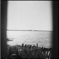 L'embouchure de la Seudre.