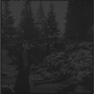 Amoncellement de cadavres de déportés dans le camp de concentration de Dachau libéré.